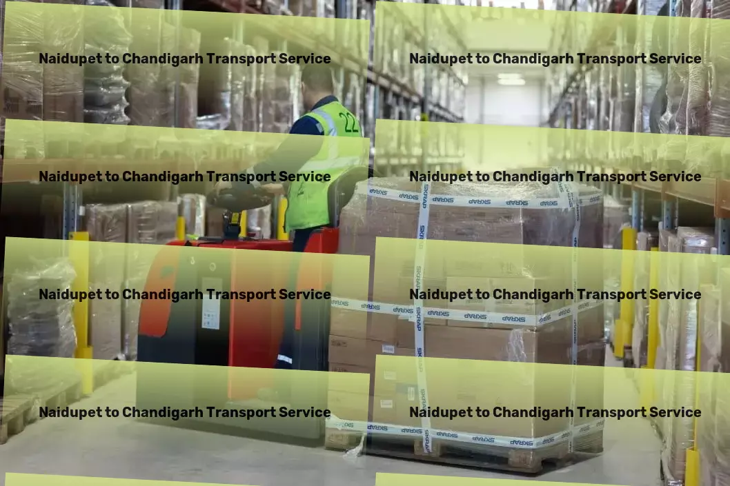 Naidupet to Chandigarh Packers And Movers Express parcel logistics