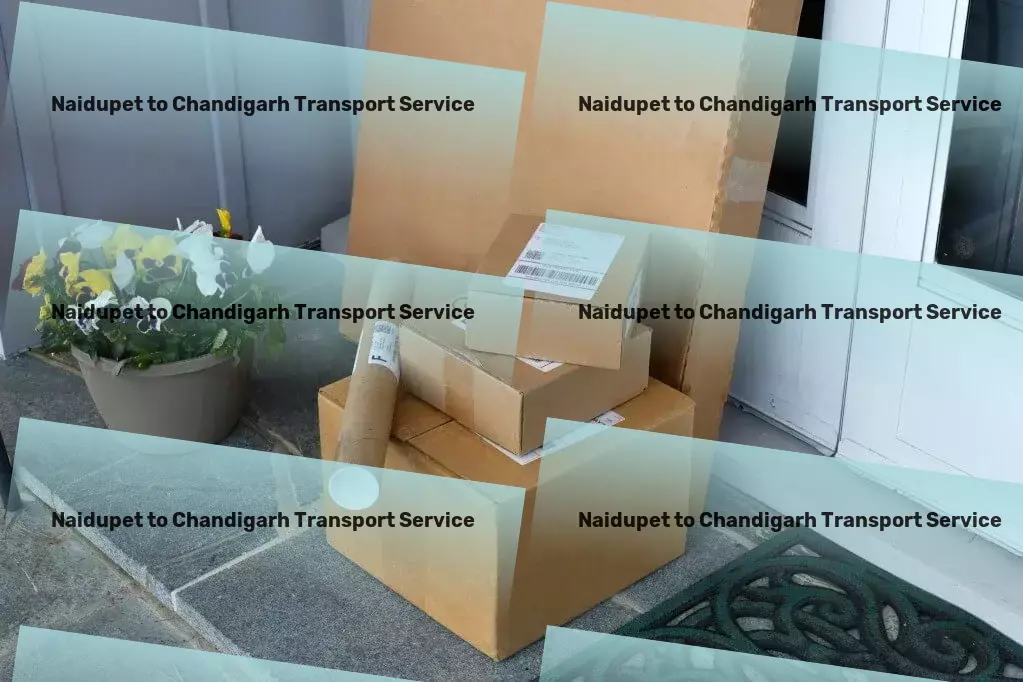 Naidupet to Chandigarh Bike Transport And Scooty Courier Urban freight and logistics