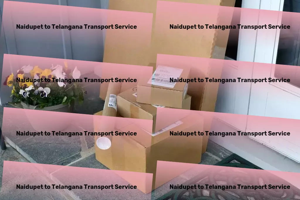 Naidupet to Telangana Bike Transport And Scooty Courier Express courier services